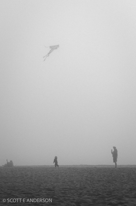 Kite